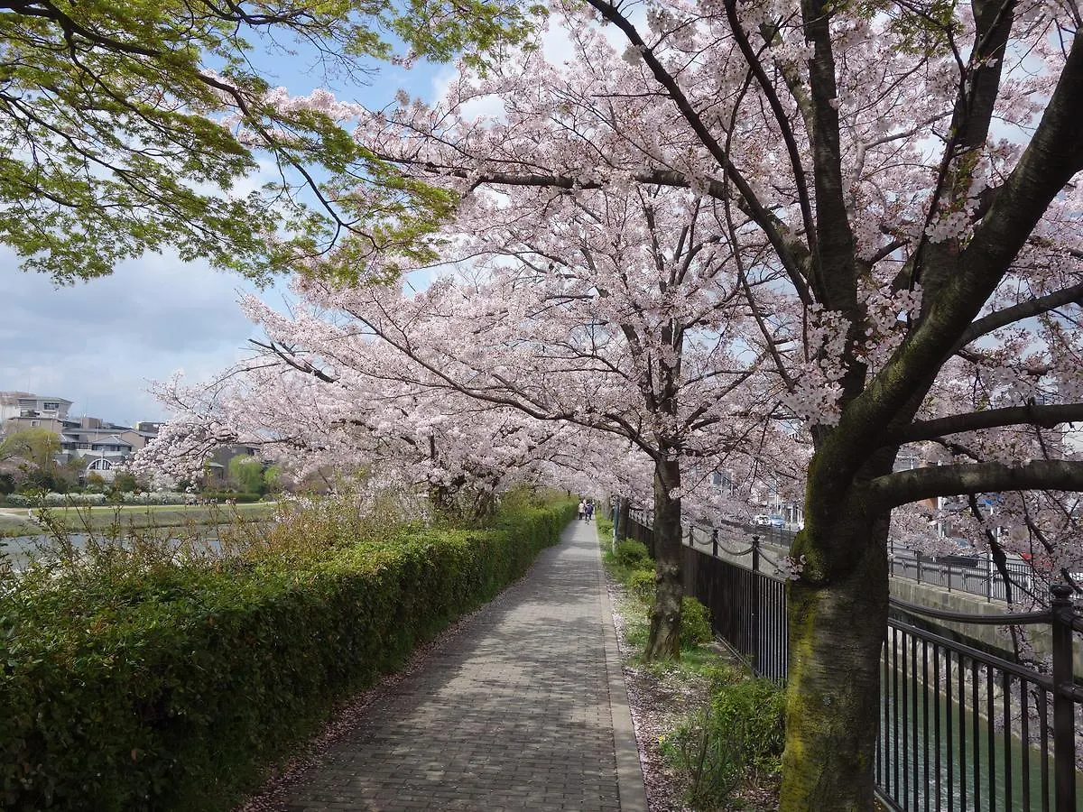 君の家 伏見